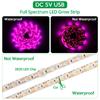 LED Pflanzenlampe Vollspektrum 5V USB Pflanzenlichtleiste LED Phyto Lampen für Pflanzen Gewächshaus Hydroponische Wachstumslampe 1M 2M 3M