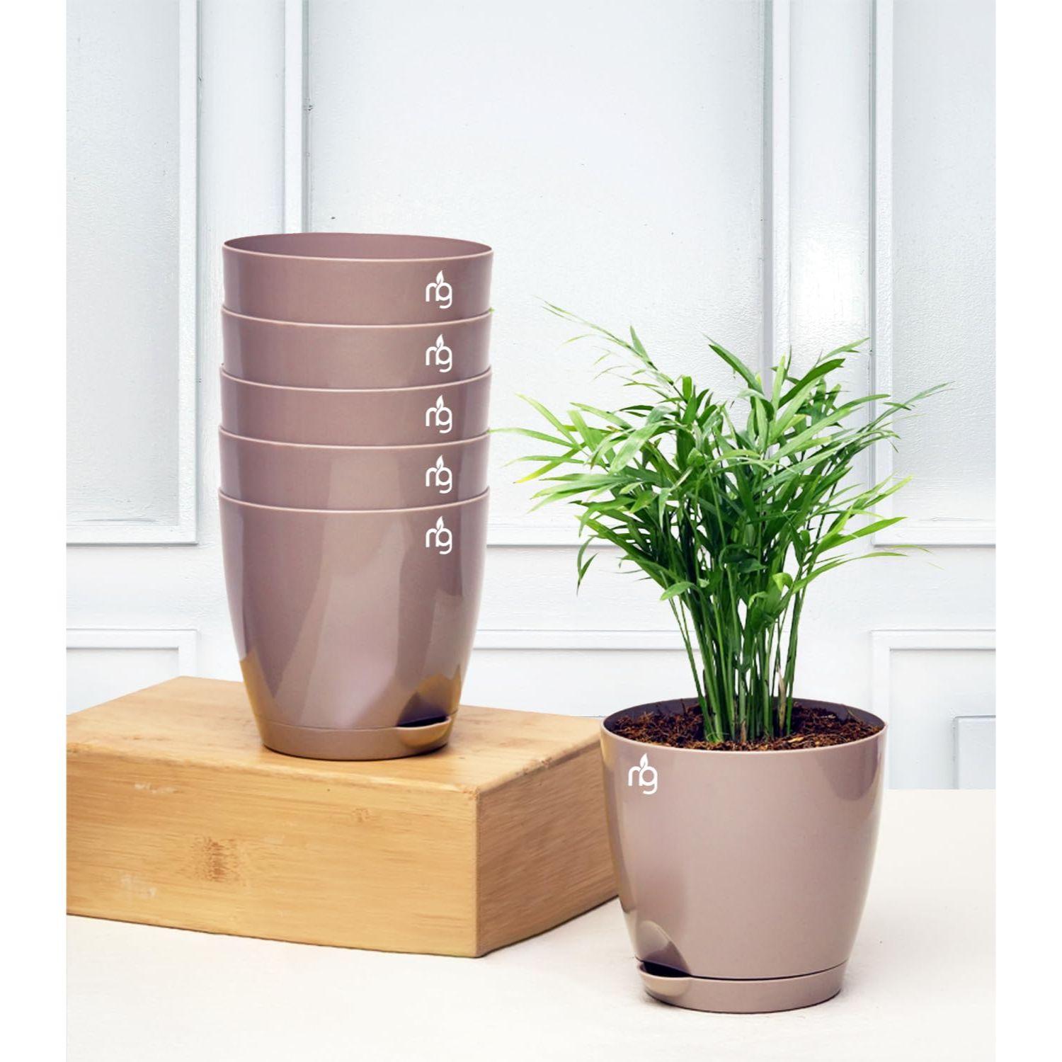 

Набор из 6 пластиковых горшков Мокко с автополивом и глянцевым покрытием (Размер: 4.5ДЮЙМА * 4.33ДЮЙМА) | Горшки, не требующие особого ухода, для декора интерьера, балкона и сада