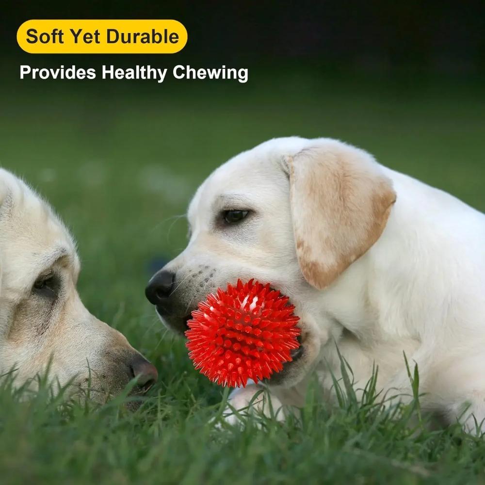 Squeaky Dog Toy Balls Puppy Chew Toys for Teething, BPA Free Non-Toxic Spikey Balls for Dogs Durable Toys for Aggressive Chewers
