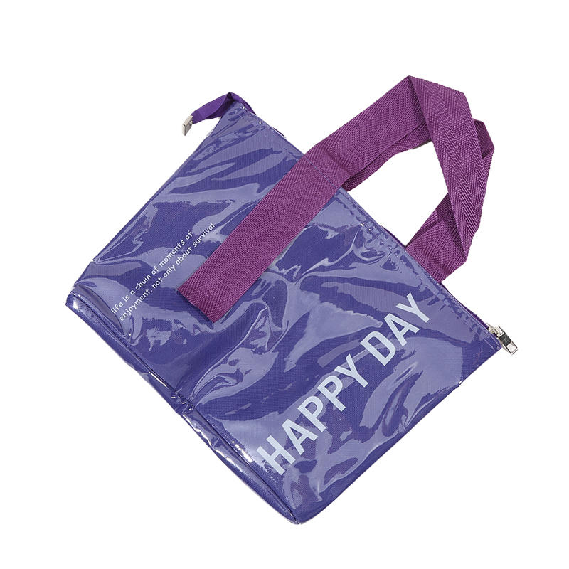 Fashion Travel Picnic Portable Thermal Bento Tote Bag Large Capacity Simple Thickened Waterproof Lunch Organizer Bag