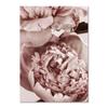 Pink Wall Art Peony Flowers Posters Pictures Quotes Bedroom Wall Decorative Prints Wall Painting for Living Room Decor Art