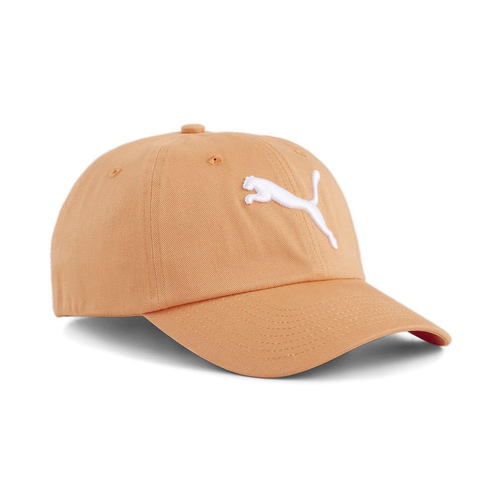 PUMA ESS Cat Logo BB Cap_02458716_AD