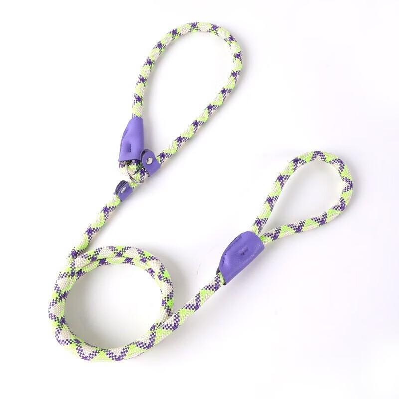 Pet Leash with Safety Buckle