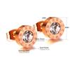 Stainless Steel Acrylic Crystal Stud Earrings for Women Men Punk Roman Number Clear Black CZ Bling Fashion Ear Jewelry