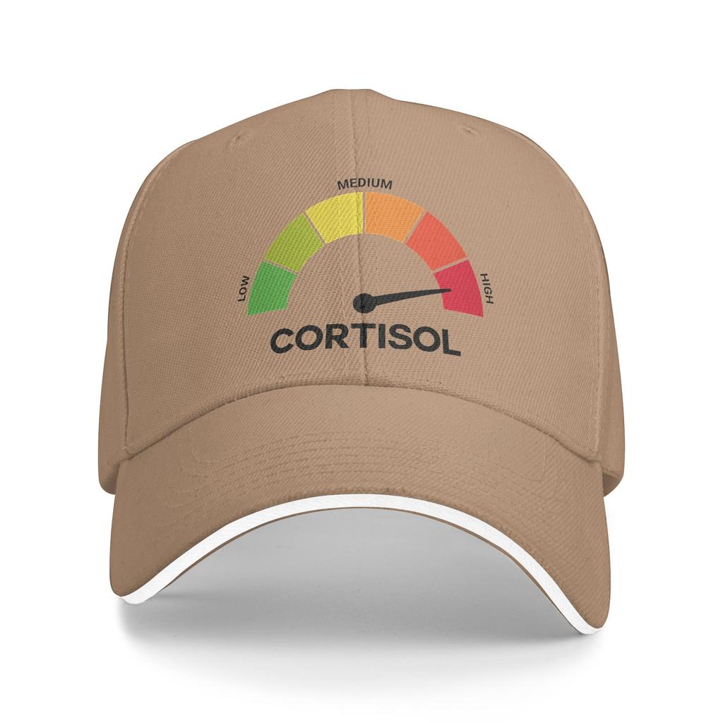 Funny Cortisol High Level Stress Meter Meme Baseball Cap Fashion Couple Hip Hop Hats Hot Sale Print Kpop Rock Baseball Caps Gift