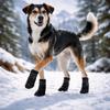 4pcs/set Reflective Waterproof Dog Shoes Warm Wound Recovery Boot  Medium Large Dogs