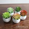 Artificial Succulent Mini Lotus Plant Decor Set Plastic DIY Terrarium Ornament Home Office Desk