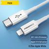 PISEN PD20W Fast Charger for iPhone 14/13