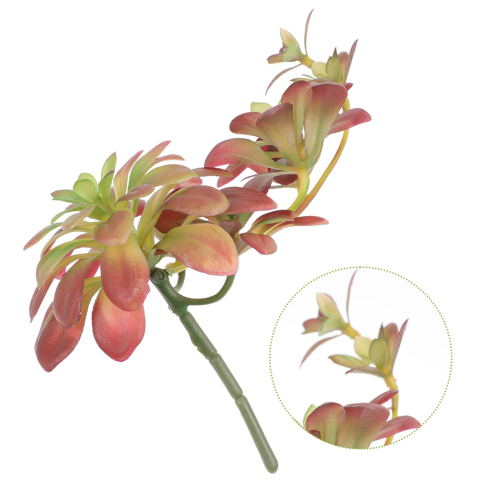 

Simulation Plant Succulent Artificial Succulents Stems Wedding Decor String of Pearls 29x18cm коричневый