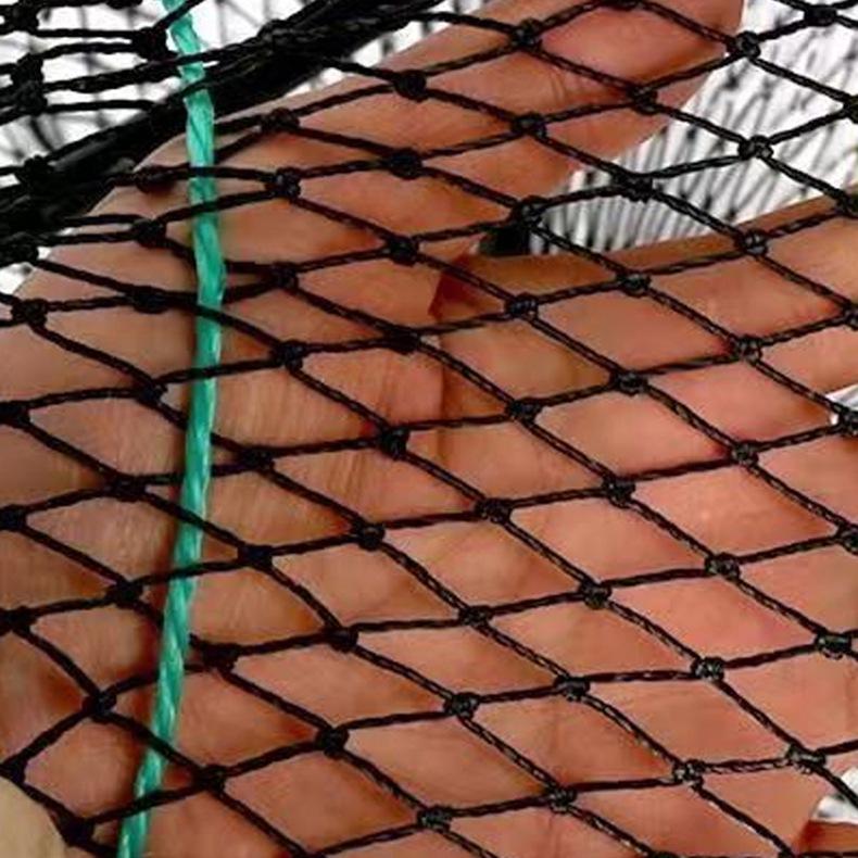 Automatic Folding Shrimp & Fish Cage for Eel, Loach, Crab, and Fishing Tackle