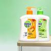 Dettol Healthy Antibacterial Hand Wash Bundle (Plant Care & Natural Fresh, 4x450g)