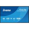 IIYAMA 43' LED