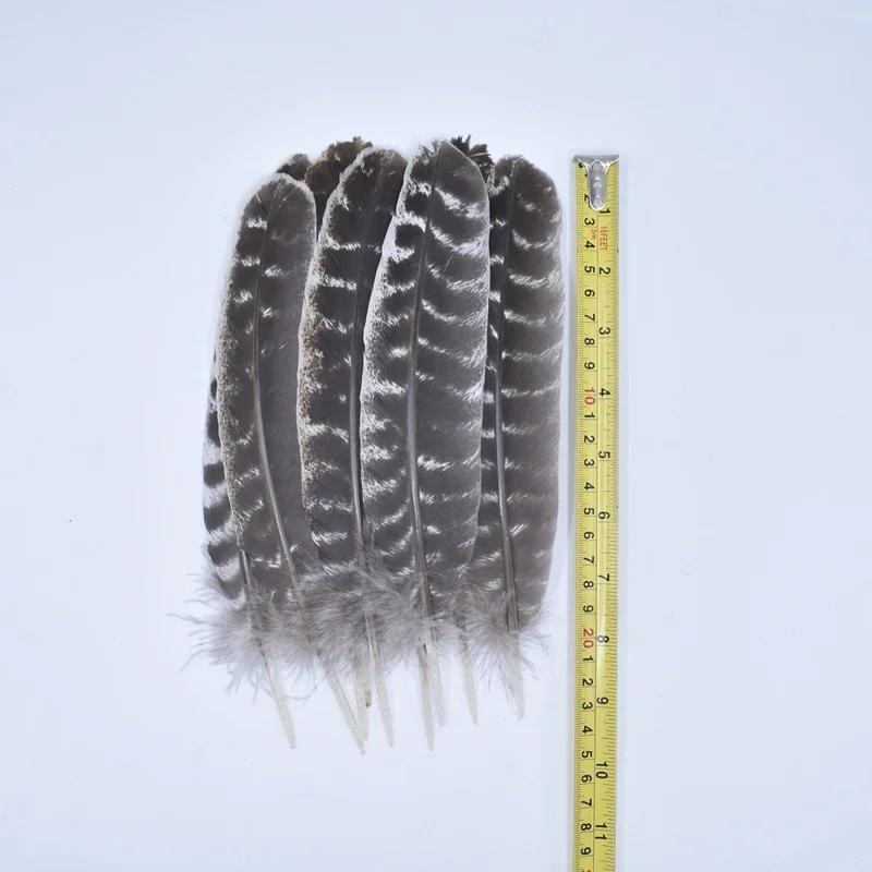 10Pcs Real Natural Eagle Feathers for Crafts Decoration Turkey Pheasant Carnival Hats Accessories Feather Decor Plumes Headpiece