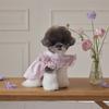 Pet Spring Lace Flying Sleeve Lady Dress Teddy Collar Dress Dog Clothes for Small Dogs T-shirt Puppy Clothes