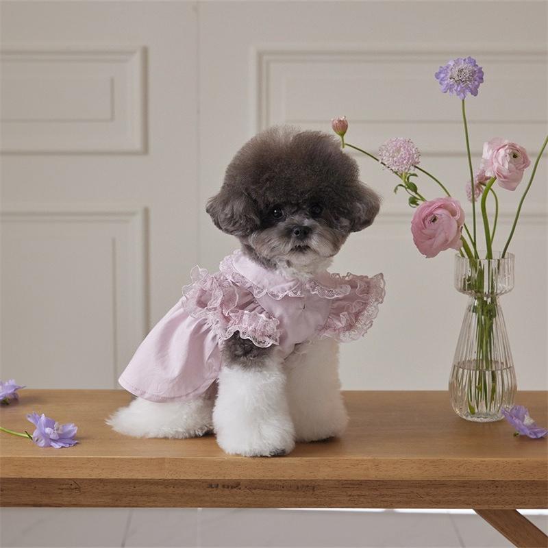 Pet Spring Lace Flying Sleeve Lady Dress Teddy Collar Dress Dog Clothes for Small Dogs T-shirt Puppy Clothes