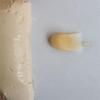 Figurative Crystal Resin Cold Porcelain Clay: Semi-transparent, No-bake, 0.5g Polymer Succulent Clay Material.