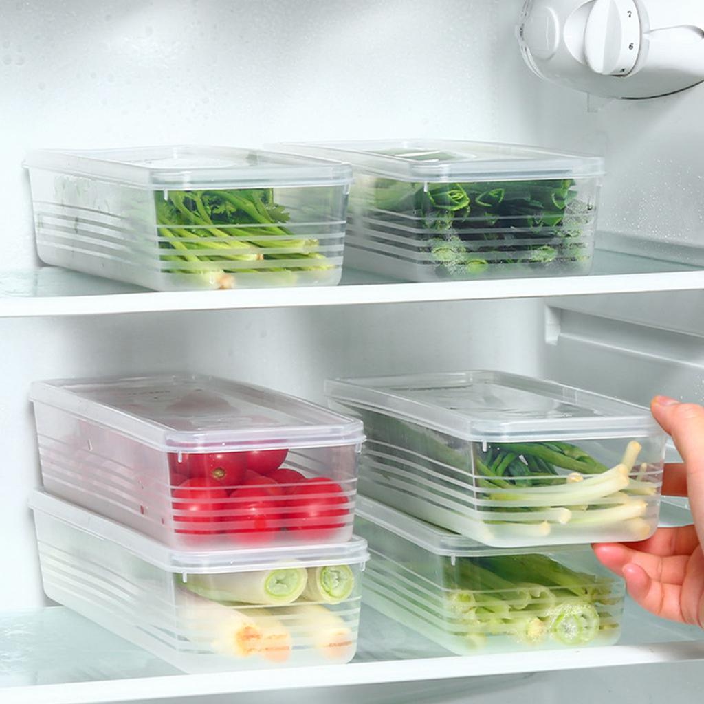 Thickened Refrigerator Storage Container for Freshing Herbs Scallions Noodles Eggs Kitchen Organizers With Airtights Lid