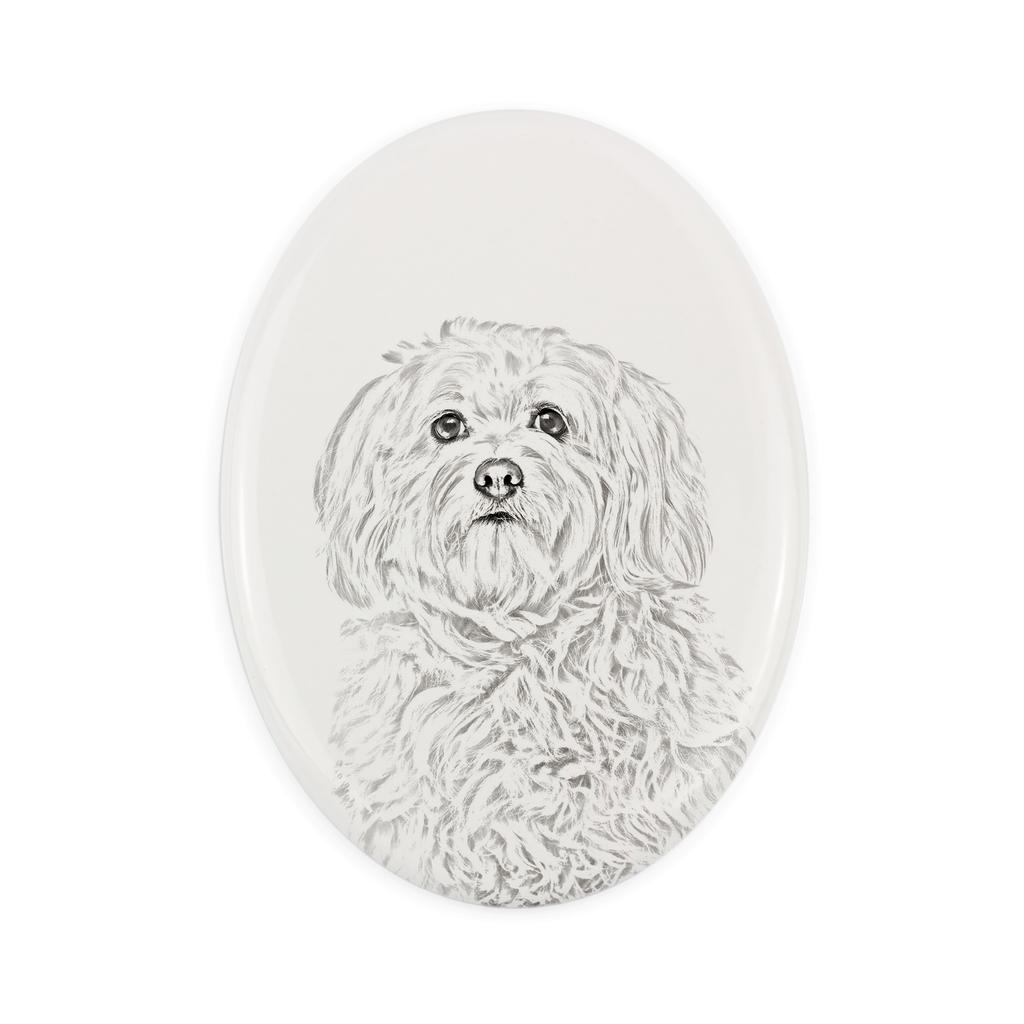 Havanese, Havanese Cuban Bichon- commemorative plaque with a photo of a dog, tombstone with a print, personalized oval plaque from the Art-Dog brand –