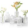 Glass Bud Vases Set of 6 Small Clear Bud Vases In Bulk, Mini Vintage Decorative Bottles, Modern Floral Centerpiece for Flowers