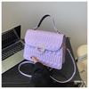 Chic Street Style 2024 Latest Spring Casual Crossbody Handbag Single Shoulder Small Square Bag