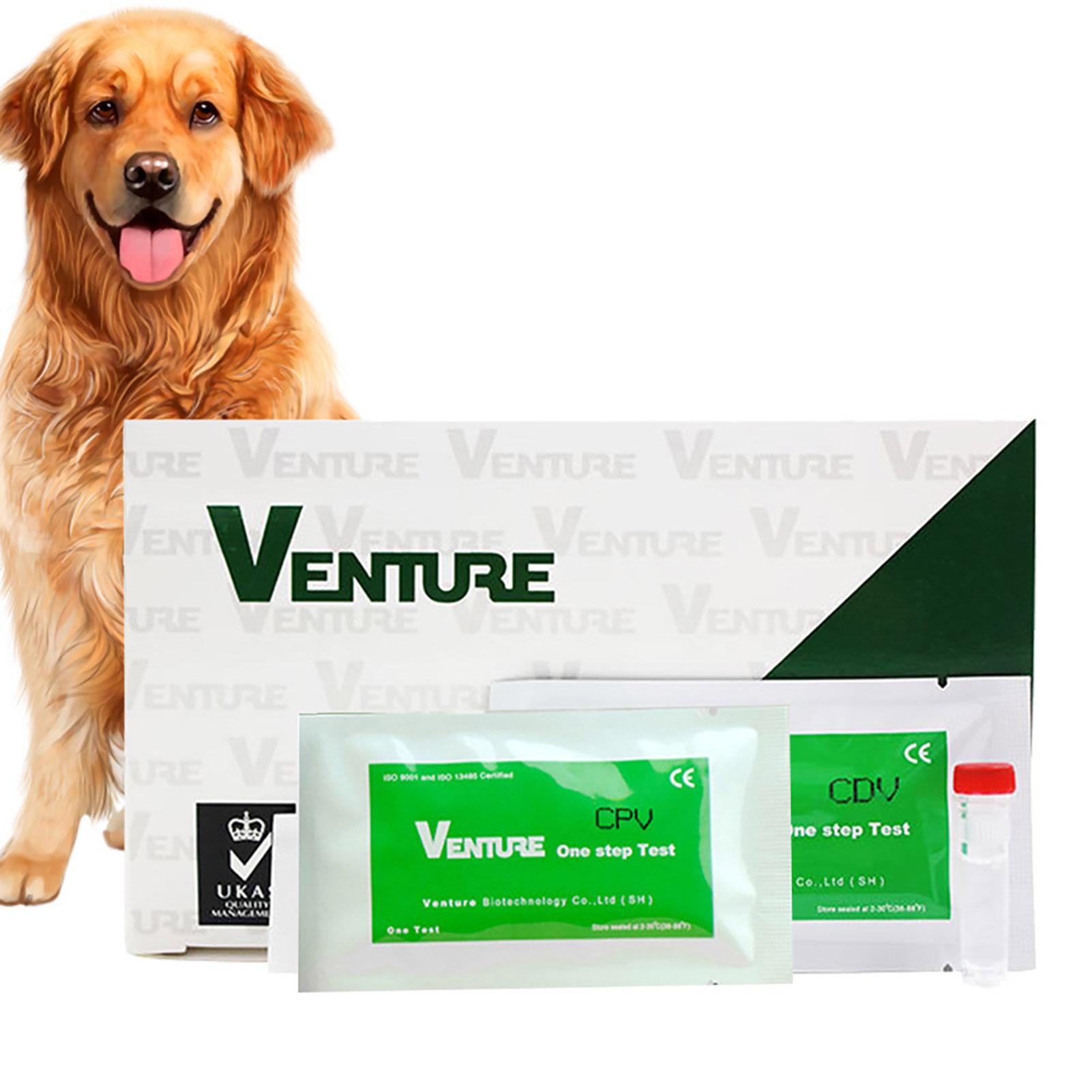 Tiras de Teste CDV/CPV Canino Kit de Teste Parvovírus Canino Distemper para Acessórios de Saúde Canina gray