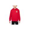 Kids Sweatshirts Hooded Moderate Kids' DR9699-687