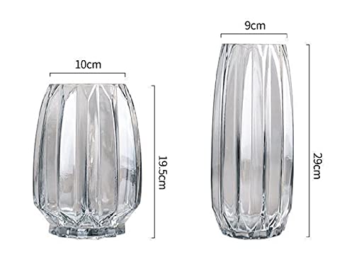 Set of 2 30cm Clear Glass Vases, Flower Bases, Glass Bottles, Perfect for Arranging Flowers, Hydroponics, Ikebana, and Artificial Flowers, Stylish and