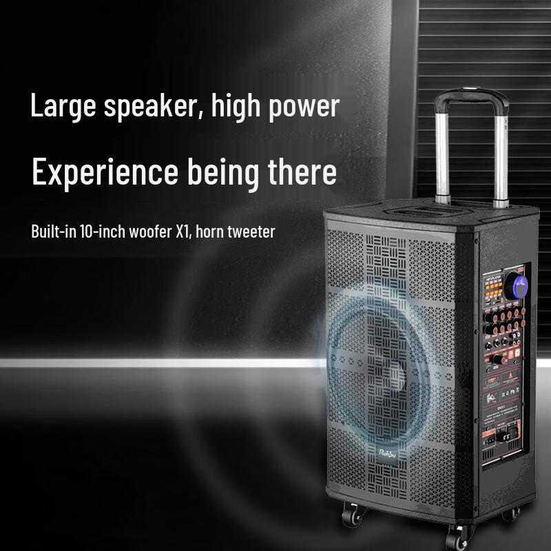 Runpu 10-inch Portable Conference & Karaoke Trolley Speaker (CN version)