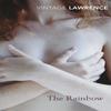 The Rainbow by D H Lawrence Paperback Book 9780099541455