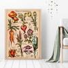 Affiche botanique sauvage Vintage, imprimés de plantes et de fleurs, décoration murale en toile, étude, peinture artistique éducative, cadeau, décoration de maison
