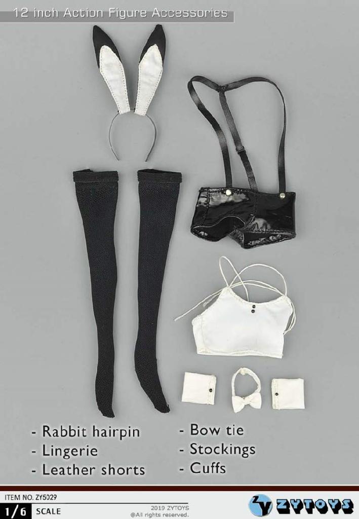 [TOYBARJAPAN] 1/6 Scale Figure Accessories/ZYTOYS ZY5029 Bunny Girl Outfit Set (Body and Head Not Included)