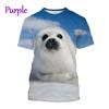 T-shirts Animals Funny Seal Fashion Summer Crew Neck 3D Print TShirts Boy Girl Kawaii Oversized  Casual Streetwear Tee Clothes