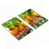 Set of Two Decorative Glass Kitchen Boards Parrot Branch 2X40X52 Cm