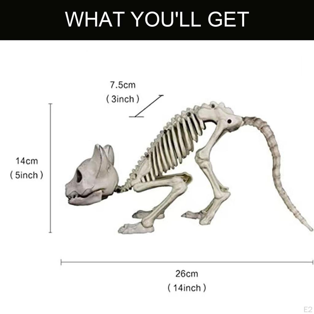 Σκελετός Γάτας Ζώο Αποκριάτικη Διακόσμηση Ρεαλιστικά Κόκαλα Στοιχειωτικά Αξεσουάρ Πάρτι για
