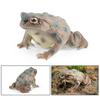Tree Frog Figurine Realistic Toad Statue Sculpture Ornament Decoration Kids Educational