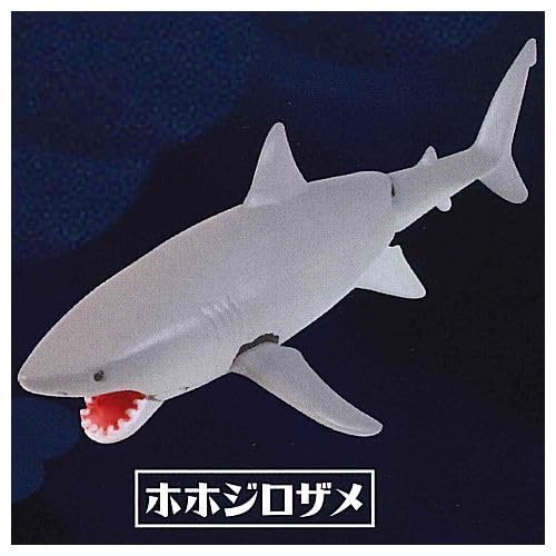

Найдена серия игровых фигурок существ «Акула-кит» Большая белая акула Gacha Gacha Capsule Toy! [4. Акула] (один предмет)