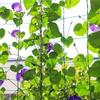 1PC Garden Green Vegetable Plant Trellis Netting Support Nets Bean  Climbing Grow Fence