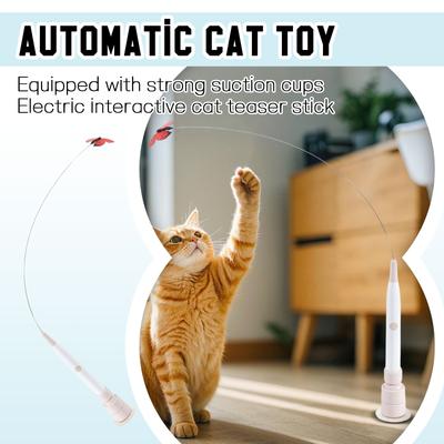 Kedi – Kedi Oyuncakları
