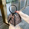 Casual Leopard Print Messenger Bag Large Capacity Multifunctional Dumpling Shape Wallet Pu Leather Handbag Women