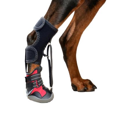 Fußheberorthese mit Seilzug(Kein Durchknicken Stiefelorthese) für Hund Korrektive Hundeschuhe zur sicheren Anhebung der Zehen für Fußproblem