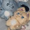 Bambole e peluche – Pupazzi - personaggi di cartoni animati e films