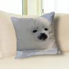 Funny S-Seal Sea Various Sizes Square Pillow Case For Car Home Bedchamber Decor Custom Valentine gift