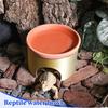 Reptile Cave 2-in-1 Reptile Habitat Leopard Gecko Feeding Bowl For Bearded Dragons Pet Parents Animal Lovers Nature Educators