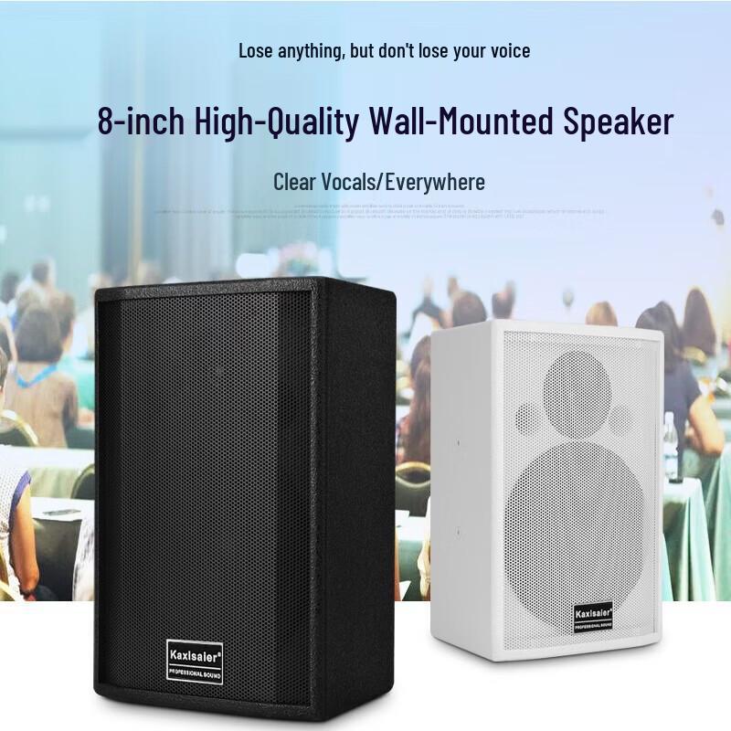 KAXISAIER KL Professional Conference Room Audio System CN Plug (adapter Included)