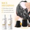 BIOAOUA Ensemble de Soins Capillaires à l'Essence de Ferment de Riz: Shampooing, Masque capillaire, Après-shampoing