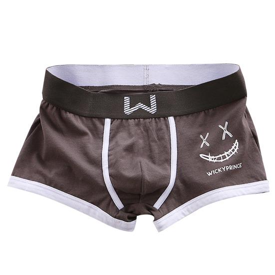 Muži Boxerské spodní prádlo Středně rostoucí elastický široký pás Šortky Kalhotky Kreslený potisk Slim Fit Spací prádlo