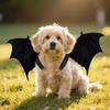 Pet Halloween Costumes, Dogs, Cat Black, Cute Halloween Pet, Easy To Wear Pet Costume, Halloween Dress Up Accessories For Pet Dogs Cats