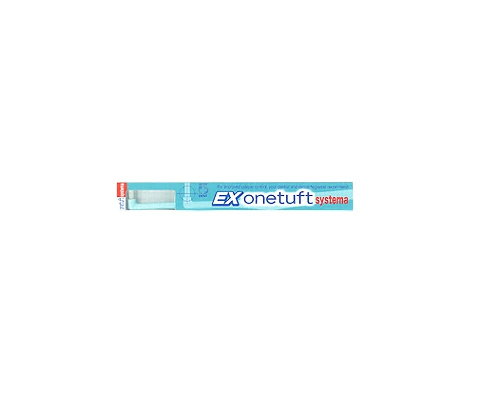 

Lion Dental Materials EX One Tuft systema