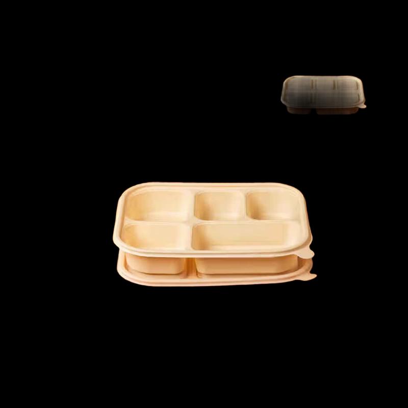 Eco-friendly Corn Starch 5-Compartment Meal Box