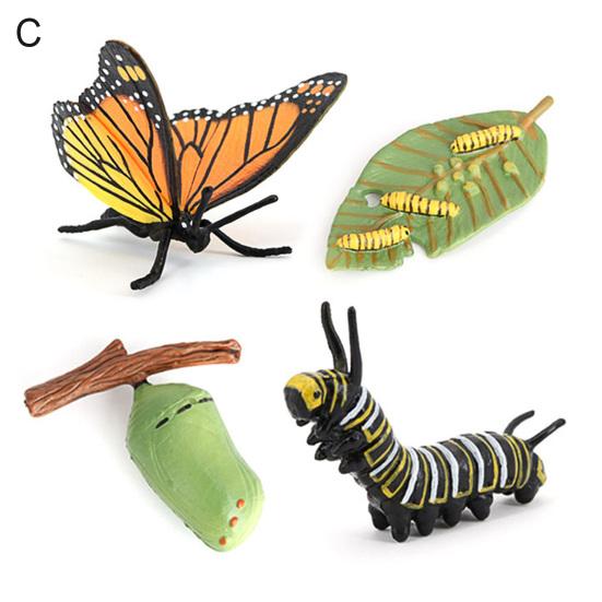 4Pcs/5Pcs Frog Tarantula Butterfly Bee Animal Growth Observation Model Toys